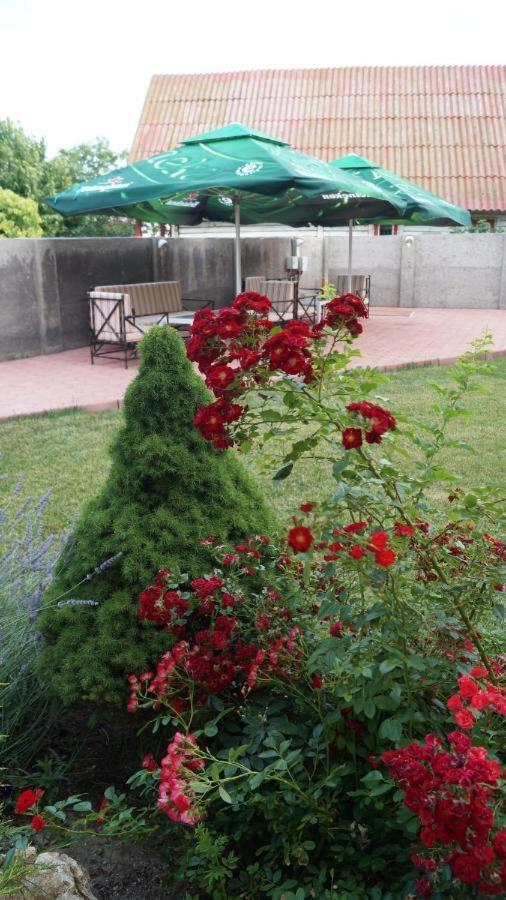 Hotel Bourbon Vama Veche Dış mekan fotoğraf
